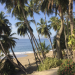 Grünes Wunder Costa Rica