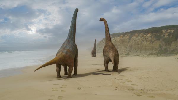 Bild 1 von 13: Auch bei Lusotitanen musste vermutlich um die Gunst der Weibchen geworben werden, vor allem dann, wenn es weitere Interessenten gab. Jenseits der Paarungszeit lebten Lusotitane wohl als Einzelgänger.