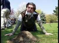 Natur im Garten - Die nackte Wahrheit