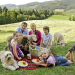 Tiere bis unters Dach