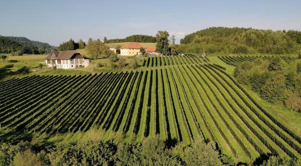 Bild 1 von 2: Weingut Maltschnig.