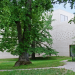 Fondation Beyeler - Museum anders gedacht