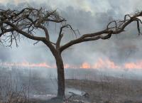 Suppressed Science - Geheimnisse der Wissenschaft