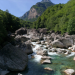 Unsere wilde Schweiz