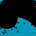 Twitter: Absturz des blauen Vogels
