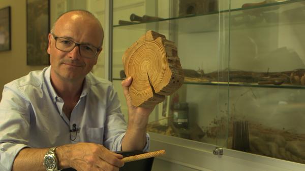 Bild 1 von 4: Karsten Schwanke mit einer Baumringscheibe. Aus vielen solchen Scheiben haben Jahresringforscher, sogenannte Dendrochronologen, einen Jahresringkalender zusammengesetzt. Er ist eine große Hilfe bei der Datierung von archäologischen Fundstellen.