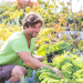 Mein urbaner Garten - Zwischen Blüten und Beton