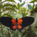 Abenteuer Wildnis