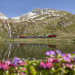 Traumhafte Bahnstrecken der Schweiz: Im Glacier Express von Zermatt nach St. Moritz
