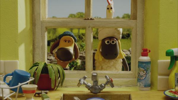 Bild 1 von 4: Wo ist nur Shauns Fellhütchen?