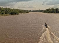 Giganten unter Wasser - Riesenfischen auf der Spur