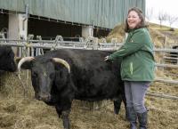 Land & lecker im Advent