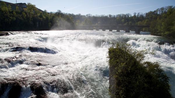Bild 1 von 14: .