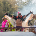 Rave The Planet 2026