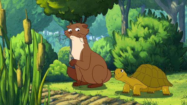 Bild 1 von 2: Schildkröte Törtel (r.) und Marder Kevin (l.) möchten ihrem sturen Freund den Plan ausreden, einen riesigen Kürbis aus einem Müggeldorfer Garten zu stehlen und die Menschen damit zu verärgern.