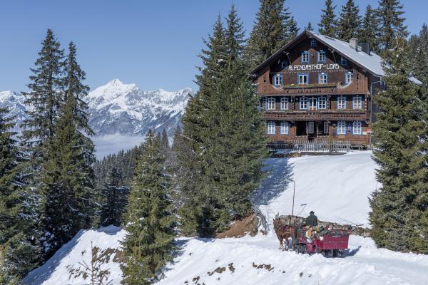 Bild 1 von 33: Im Bild: Die Kinder fahren mit dem Pferdeschlitten vom Haus ihrer Oma zum Einkaufen ins Dorf.