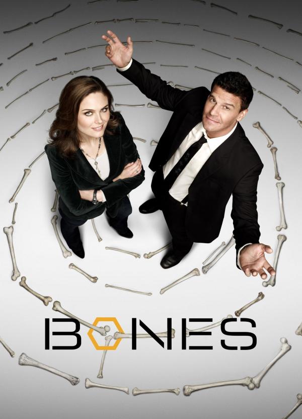 Bild 1 von 9: (5. Staffel) - Bones - Die Knochenjägerin - Artwork