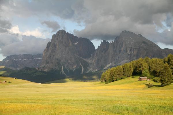Bild 1 von 20: Im Bild: Die Seiser Alm in Südtirol ist die größte Hochalm Europas, im Sommer bedeckt von üppigen Blütenteppichen.
