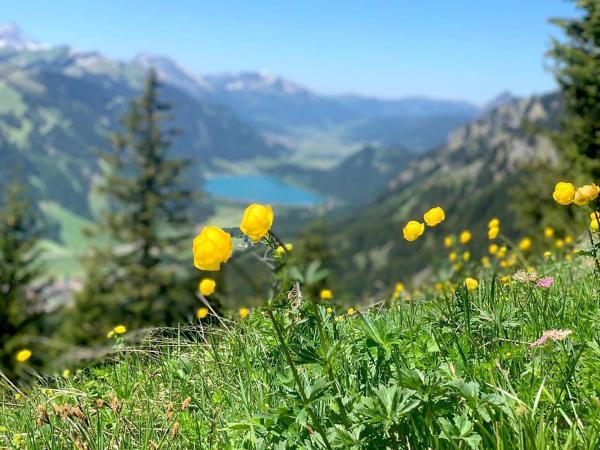 Bild 1 von 2: Im Bild: Blick auf den Haldensee.