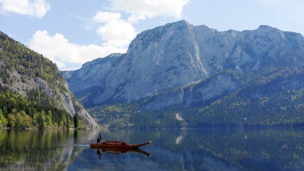 Bild 1 von 2: .