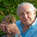 Kurioses aus der Tierwelt