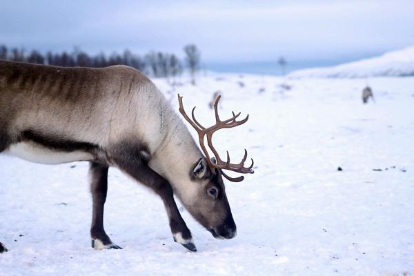 Bild 1 von 3: 