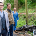 Bild 19