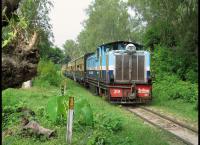 Auf schmaler Spur durch Indien