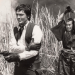 Mifune: The Last Samurai