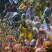 Rituale der Welt