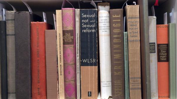 Bild 1 von 7: Im Bild: Alte Bücher.