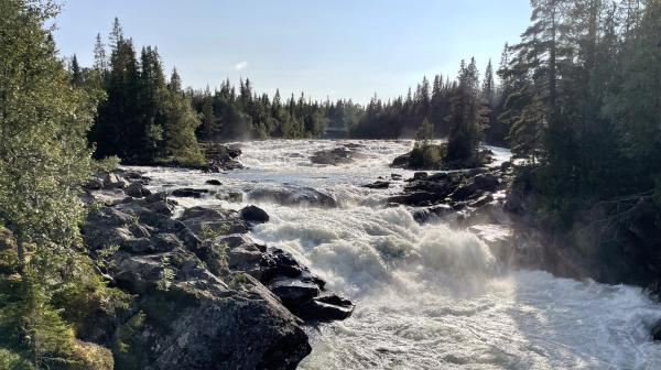 Bild 1 von 5: Der Wasserfall Tännforsen bei Åre.