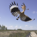 Abenteuer Wildnis