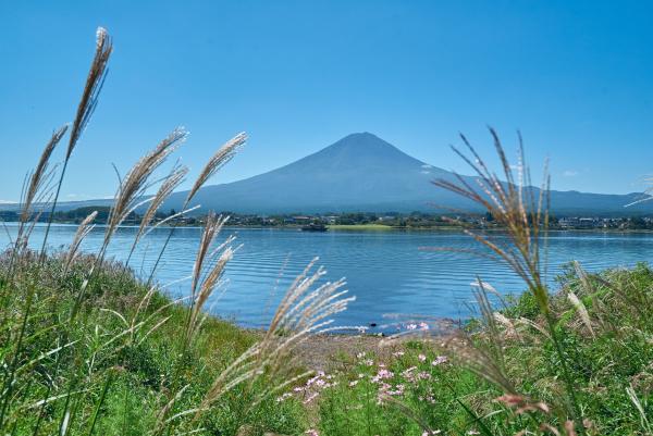 Bild 1 von 14: Der heilige Berg Fuji ist das Wahrzeichen Japans. Seit 2013 schützt ihn die UNESCO als heiligen Ort und Inspirationsquelle für die Künste.