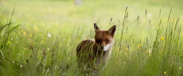 Bild 1 von 21: Im Bild: \