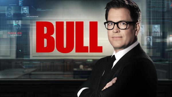 Bild 1 von 13: (6. Staffel) - Bull - Artwork
