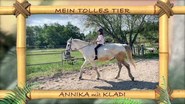 Bild 1 von 11: Tolle Tiere