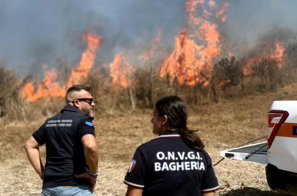 Bild 1 von 5: Chicco Alfano vom Zivilschutz in Palermo koordiniert die Einsatzkräfte bei einem Flächenbrand.