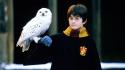RTL 20:15: Harry Potter und der Stein der Weisen