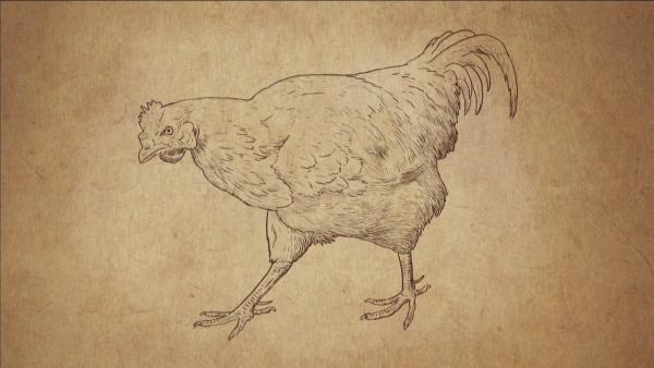 Bild 1 von 15: Wie in heutigen Vögeln sind die Gene auch im Haushuhn noch vorhanden, die typische Sauriermerkmale hervorbringen. Sie sind nur nicht mehr aktiv.