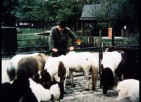 Meister Eder und sein Pumuckl