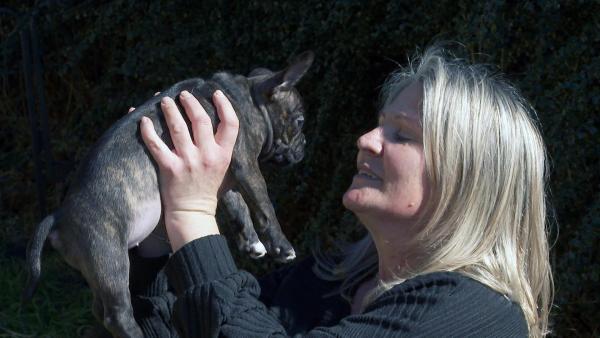 Bild 1 von 8: Auf den Hund gekommen - der Vorarlberger zweitliebstes Haustier