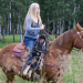 Heartland - Paradies für Pferde