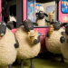 Shaun das Schaf