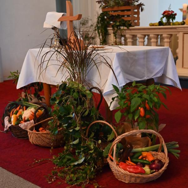 Bild 1 von 2: Mit reichen Gaben geschmückter Altar zum Erntedankfest aus der evangelischen \