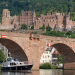 Expedition in die Heimat