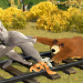 Mascha und der Bär