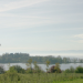 Die Mainau - das Blumenschiff der Bernadottes