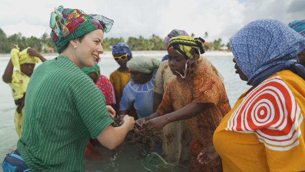 Bild 1 von 3: Zu den Einnahmequellen Sansibars gehört der Anbau von Algen. Die Ernte ist Frauenarbeit, doch den Profit mit den in Europa begehrten Pflanzen machen andere.
