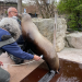Welt der Tiere